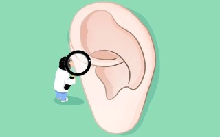 动物耳朵的作用（保护耳朵的十种方法）
