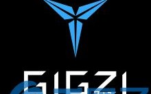 Gigzi是什么，有什么价值GZB官网、团队简介