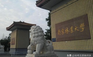 南京211大学（211江苏有几所大学）