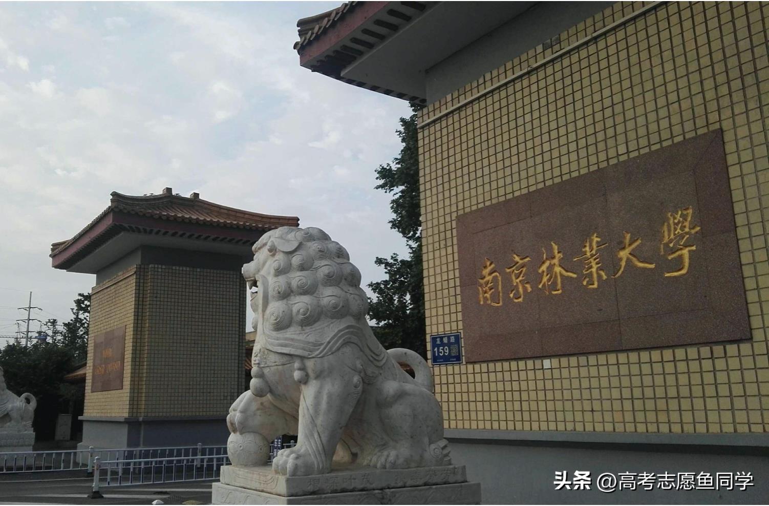 南京211大学（211江苏有几所大学）-第1张图片-尚力财经