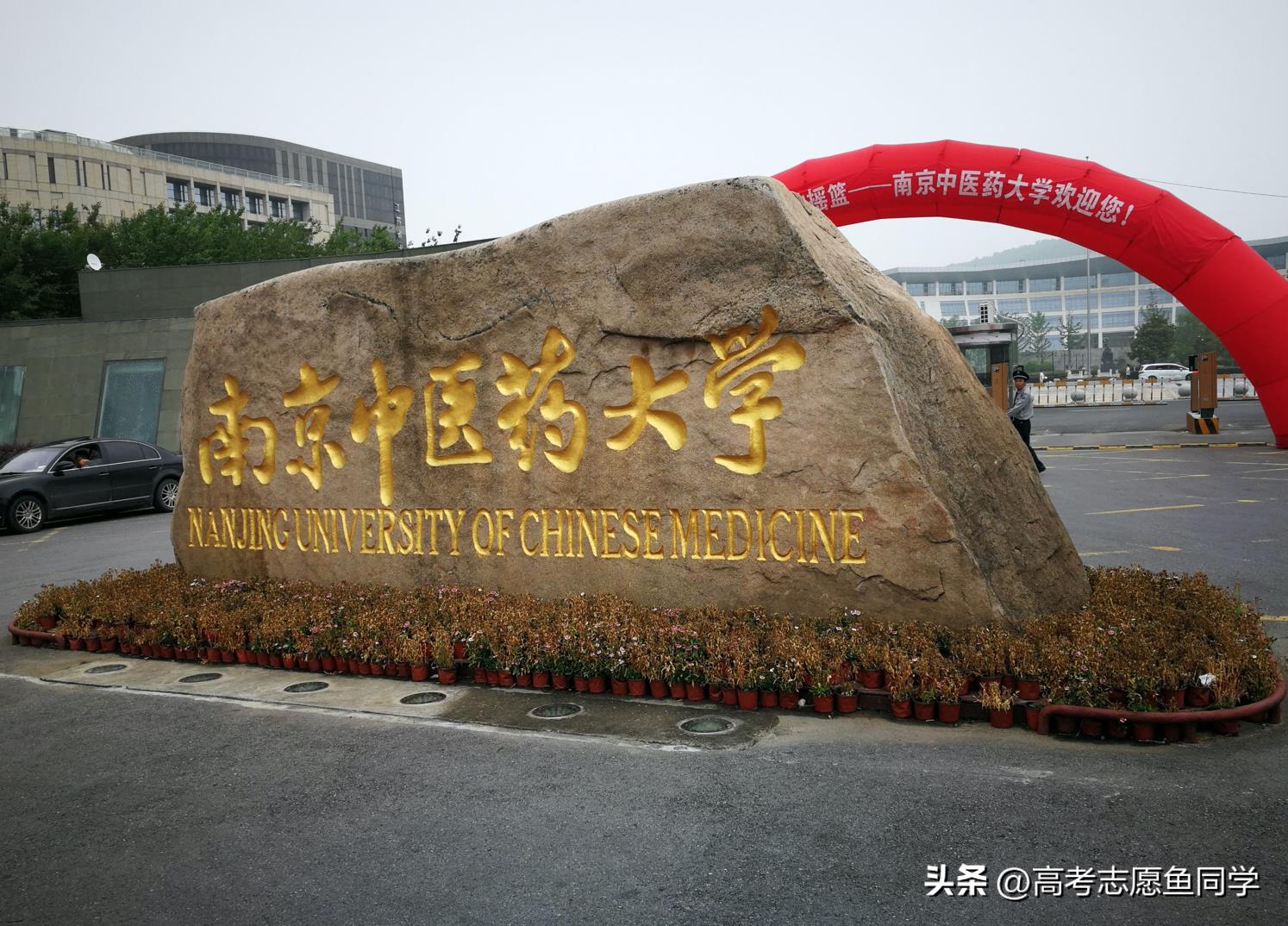 南京211大学（211江苏有几所大学）-第3张图片-尚力财经
