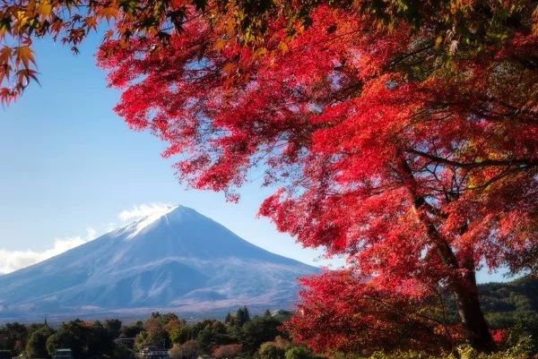 富士山在哪（富士山在哪个洲）-第6张图片-尚力财经