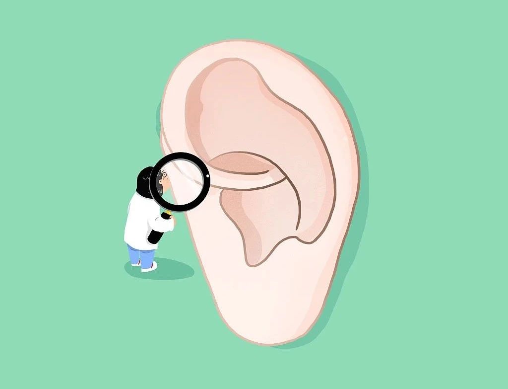 动物耳朵的作用（保护耳朵的十种方法）-第1张图片-尚力财经